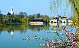 武汉出发扬州4日自驾游：瘦西湖-兴化千垛油菜花-李中水上森林4天自驾游-推荐