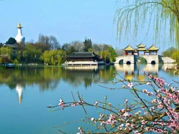 武汉出发扬州4日自驾游：瘦西湖-兴化千垛油菜花-李中水上森林4天自驾游