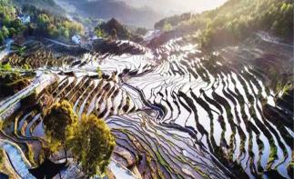 湖北武汉出发周边自驾游：雾云山梯田-东坡赤壁1日踏青自驾游-推荐