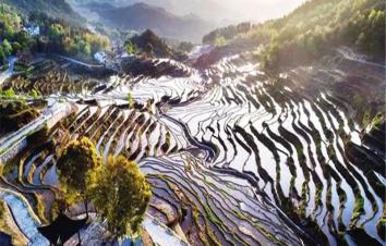 湖北武汉出发周边自驾游：雾云山梯田-东坡赤壁1日踏青自驾游-游推荐