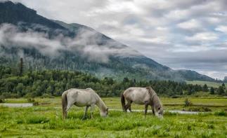 成都出发西藏16日自驾游：川藏线318+稻城亚丁+拉萨羊湖+青海湖+茶卡盐湖16日川进青出自驾游-推荐