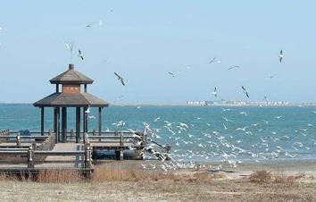 北京周边自驾游：河北唐山抗震纪念馆-菩提岛-运河唐人街2日自驾游-游推荐