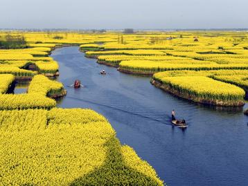 山东出发到江南5日游：扬州、桃花潭、采石矶、响水涧5日踏春自驾游