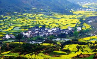 广东出发中国最美乡村江西婺源-国家地质公园三清山-瓷都景德镇-红色故都瑞金6天休闲自驾游-推荐