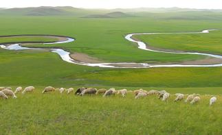 哈尔滨集合12日中俄边境自驾游：呼伦贝尔-北极村-莫日格勒河12日穿越东北中俄边境深度自驾游-推荐