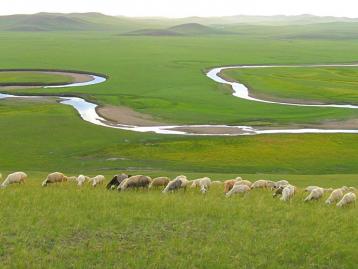 哈尔滨集合12日中俄边境自驾游：呼伦贝尔-北极村-莫日格勒河12日穿越东北中俄边境深度自驾游