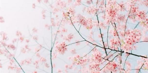 江苏出发到句容1日自驾游：浮山樱花园-草莓采摘1日自驾游自驾游