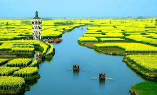 湖北出发浙江4日自驾游：扬州瘦西湖-李中水上森林-千垛菜花4日自驾游-推荐