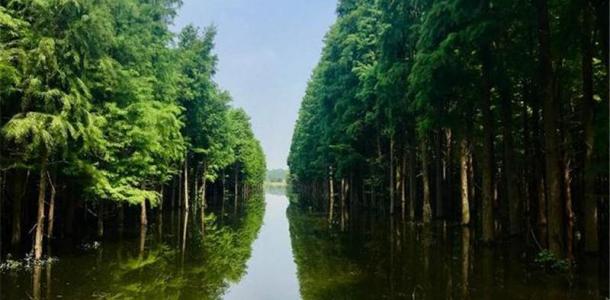 武汉出发仙桃2日自驾游：京山空山洞-莫愁村-沙洋油菜花-仙桃梦里水乡2天踏青游自驾游