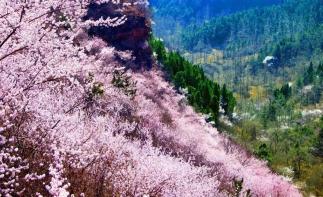 河南出发3日自驾南太行：万仙山-王莽岭-天界山-陈家园3日自驾挂壁公路自驾游-推荐