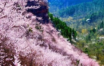 河南出发3日自驾南太行：万仙山-王莽岭-天界山-陈家园3日自驾挂壁公路自驾游-游推荐