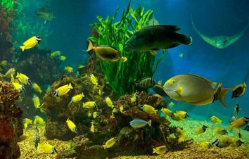 北京出发辽东半岛5日自驾游：鸭绿江风光，大连海洋公园5日自驾-游推荐