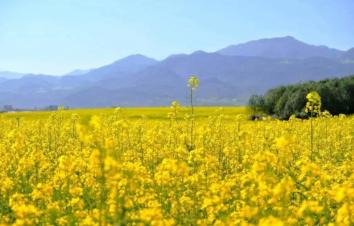 北京周边2日游：衡水湖、周家庄、洪福寺河北2日自驾-游推荐