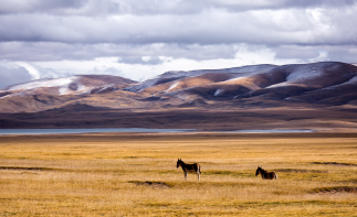 拉萨集合阿里11日自驾游：布达拉宫-冈仁波齐-珠峰-古格王朝11日阿里大北环线-推荐