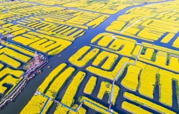 山东出发江苏3日自驾游：梦幻迷宫-溱湖湿地-琴童古镇-千垛菜花3日自驾游-游推荐