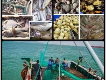 北京至黄骅2日自驾游：黄骅出海-船上现食海鲜大餐-湿地2日自驾游