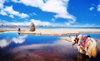 拉萨集合阿里13日拼车游：纳木错+日喀则+冈仁波齐+古格王朝阿里大环线自驾游13日-推荐