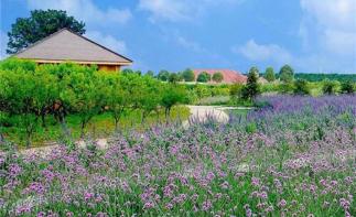 江苏出发苏州1日亲子体验自驾活动：绿光农场亲子DIY休闲自驾游-推荐