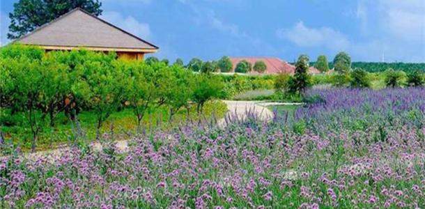 江苏出发苏州1日亲子体验自驾活动：绿光农场亲子DIY休闲自驾游自驾游