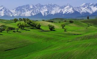 新疆出发6日东疆自驾游：吐鲁番+大海道+江布拉克草原+库木塔格沙漠穿越之旅-推荐