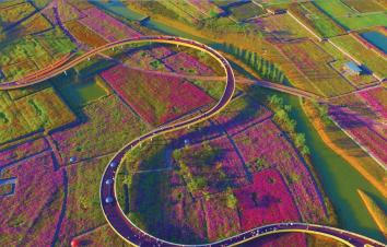 山东到苏北3日自驾游：河下古镇-衲田花海-洪泽湖休闲3日自驾游-游推荐