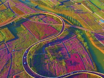 山东到苏北3日自驾游：河下古镇-衲田花海-洪泽湖休闲3日自驾游