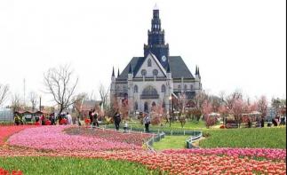 江苏周边2日自驾游：大丰豪华特色酒店-荷兰花海-梦幻迷宫2日自驾游-推荐