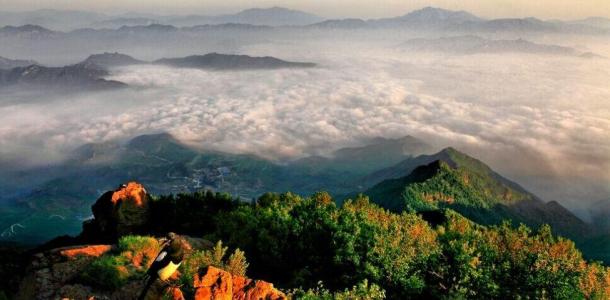 北京周边自驾游：攀百花山主峰菩萨顶-漫步百花草甸1日休闲自驾活动-大自驾网