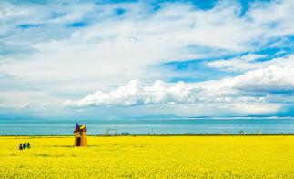 江西出发西北13日自驾游：张掖七彩丹霞-青海湖-麦积山石窟-丝绸之路13日自驾之旅-推荐