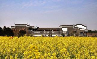 湖北出发江西靖安2日自驾游：逛安义古城-泡九岭森林温泉-享天然氧吧2日休闲自驾游-推荐