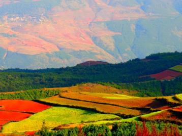 重庆出发云南3日自驾游：大山包观云卷云舒-赏候鸟归来3日自驾之旅