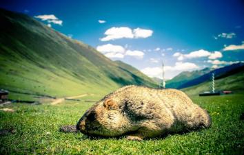 重庆出发川西3日自驾游：莫斯卡土拨鼠-丹巴中路藏寨3日自驾之旅-游推荐