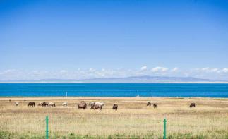 兰州集合2日周边自驾游：大美青海湖-天空之境茶卡盐湖2日周末自驾游-推荐