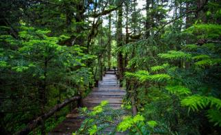 成都周边3日自驾游：奇景中华洞天-白马王朝3日探秘之旅-推荐