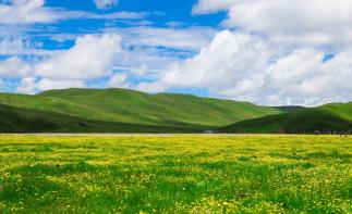 成都出发川西2日自驾游：漫步草原花海-俄木塘2日自驾游-推荐