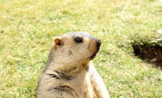 成都出发川西3日自驾游：遗忘的村落-莫斯卡3日自驾游-推荐