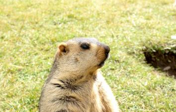 成都出发川西3日自驾游：遗忘的村落-莫斯卡3日自驾游-游推荐