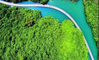 武汉出发湖北恩施3日自驾游：女儿城喝摔碗酒-狮子关-梭布垭石林3日周边自驾游-推荐