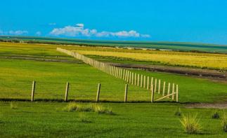 湖北出发内蒙呼伦贝尔7天自驾：额尔古纳湿地-莫尔道嘎-中俄边境公路-满洲里国门7天落地自驾游-推荐