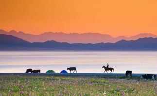 乌鲁木齐集合新疆15日自驾游:喀纳斯-禾木村-赛里木湖-巴音布鲁克15天环线自驾游-推荐