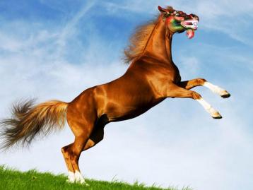 山东出发京北4日自驾游：京北沙漠-金莲川草原-石条山4日休闲自驾游