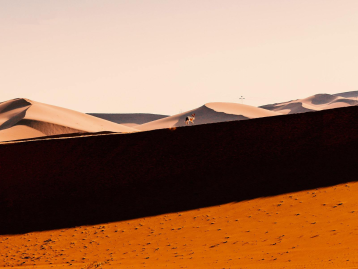 山东出发自驾宁夏7日游：腾格里沙漠-贺兰山岩画-西夏王陵-火石寨-袁家村深度7日