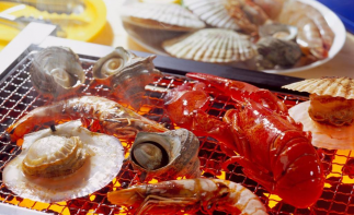 济南出发长岛3日自驾游：烟台长岛-万鸟岛-海豹礁-妈祖岛3日山东周边自驾游-推荐