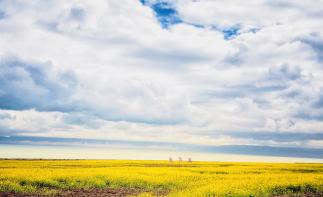 成都出发甘肃青海8日自驾游：若尔盖大草原-茶卡盐湖-青海湖-沙坡头8日畅玩西北环线自驾游-推荐