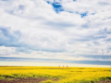 成都出发甘肃青海8日自驾游：若尔盖大草原-茶卡盐湖-青海湖-沙坡头8日畅玩西北环线自驾游