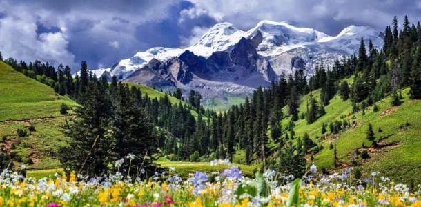 重庆自驾四川5日自驾游：康定-理塘-巴塘格木村-冷古寺-铁匠山-理塘-新都桥康定5日自驾之旅自驾游