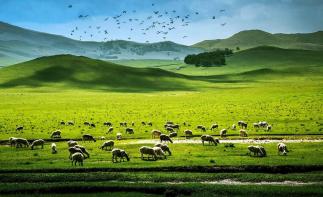 山东出发内蒙古6日自驾游：二连浩特-辉腾锡勒大草原-察哈尔火山群-库布奇沙漠6日神秘探险之旅-推荐