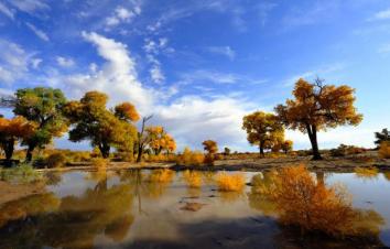 北京出发额济纳旗8日自驾游：胡杨林-居延海-黑水城、西夏王陵8日自驾-游推荐