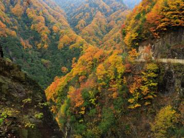 兰州集合青海张掖9日自驾游：水上雅丹-金塔胡杨林-莫高窟-嘉峪关-青海湖-七彩丹霞
