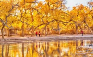 山东出发西北12日自驾游：秘境丝绸路-水上雅丹-青海湖-茶卡盐湖-胡杨林独家策划12日游-推荐